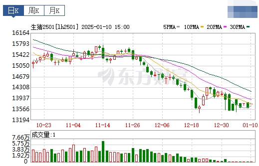 今日猪价 | 2025.01.11 猪价行情——绝大多数下跌,且跌至今年以来最低价