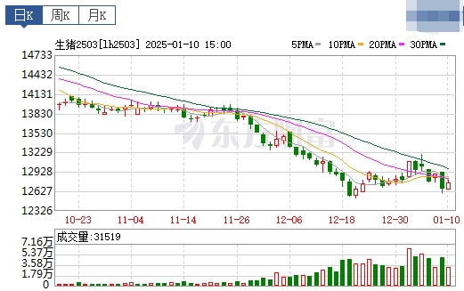 今日猪价 | 2025.01.11 猪价行情——绝大多数下跌,且跌至今年以来最低价