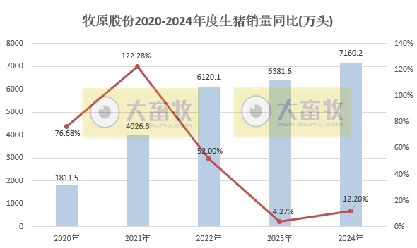 牧原股份2024年12月及年度生猪销售情况——单月销量突破800万头,年度销量突破7000万头,能繁母猪存栏超350万头等多项业绩出现突破