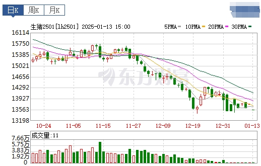 今日猪价 | 2025.01.14 猪价行情