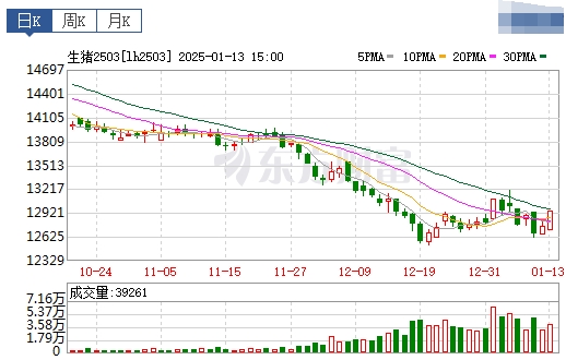 今日猪价 | 2025.01.14 猪价行情