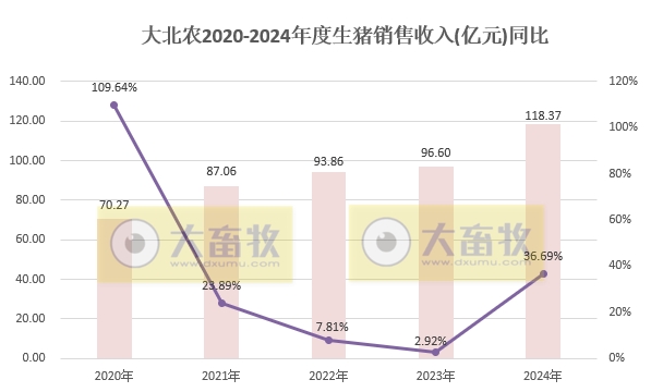 大北农2024年12月及年度生猪销售情况——年度生猪销量和收入均创历史新高，收入首次突破100亿
