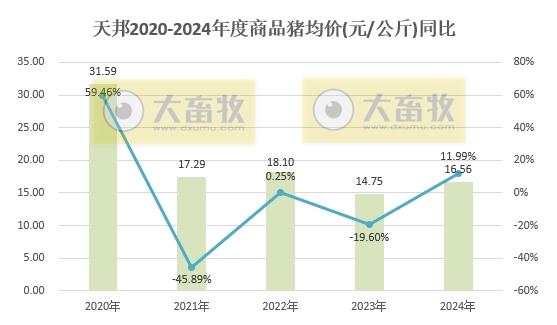 天邦食品2024年12月及年度生猪销售情况——年度销量约600万头，同比减少16%