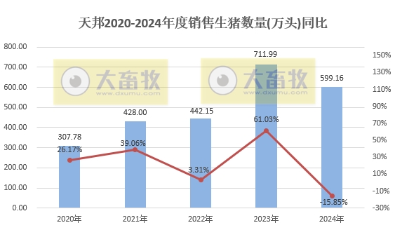 天邦食品2024年12月及年度生猪销售情况——年度销量约600万头，同比减少16%