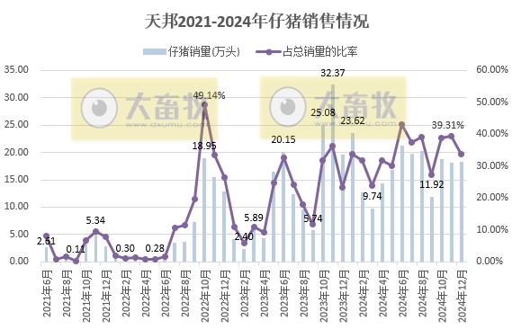 天邦食品2024年12月及年度生猪销售情况——年度销量约600万头，同比减少16%