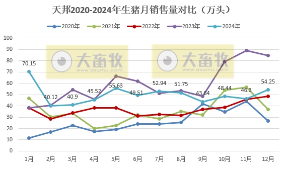 天邦食品2024年12月及年度生猪销售情况——年度销量约600万头，同比减少16%