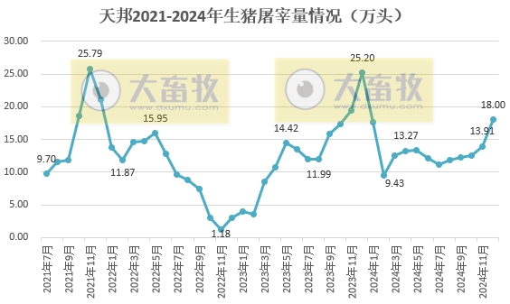 天邦食品2024年12月及年度生猪销售情况——年度销量约600万头，同比减少16%