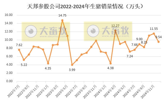 天邦食品2024年12月及年度生猪销售情况——年度销量约600万头，同比减少16%