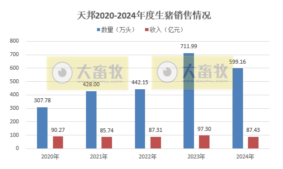 天邦食品2024年12月及年度生猪销售情况——年度销量约600万头，同比减少16%