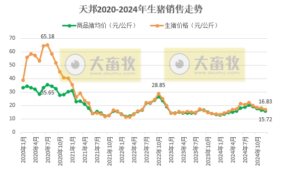天邦食品2024年12月及年度生猪销售情况——年度销量约600万头，同比减少16%