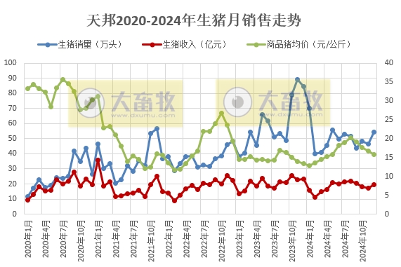 天邦食品2024年12月及年度生猪销售情况——年度销量约600万头，同比减少16%