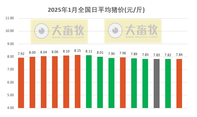 今日猪价 | 2025.01.15 猪价行情