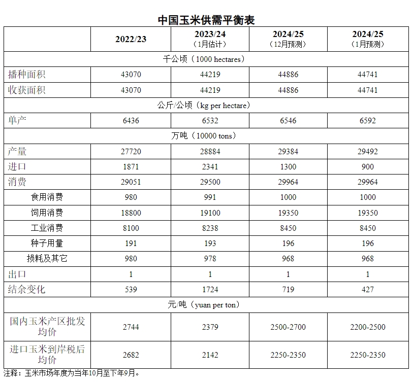 2025年1月中国玉米供需形势分析