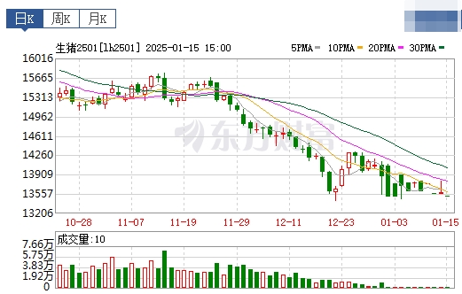 今日猪价 | 2025.01.16 猪价行情——一路飘红