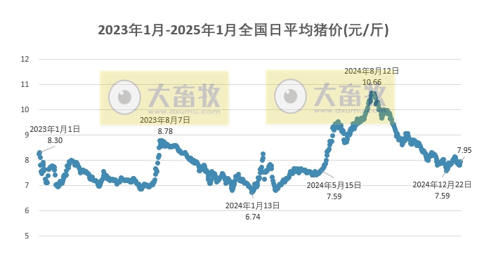 今日猪价 | 2025.01.16 猪价行情——一路飘红