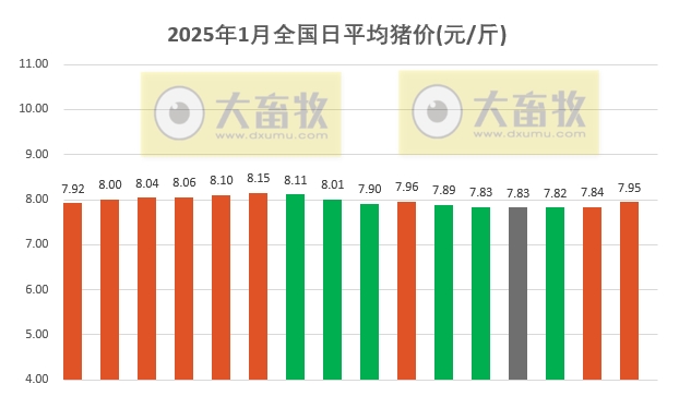 今日猪价 | 2025.01.16 猪价行情——一路飘红