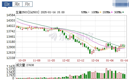 今日猪价 | 2025.01.17 猪价行情——突变，由涨转跌