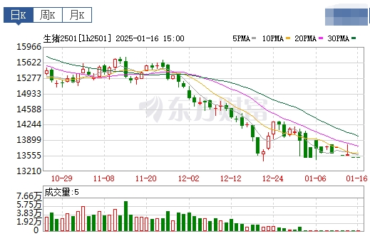 今日猪价 | 2025.01.17 猪价行情——突变，由涨转跌