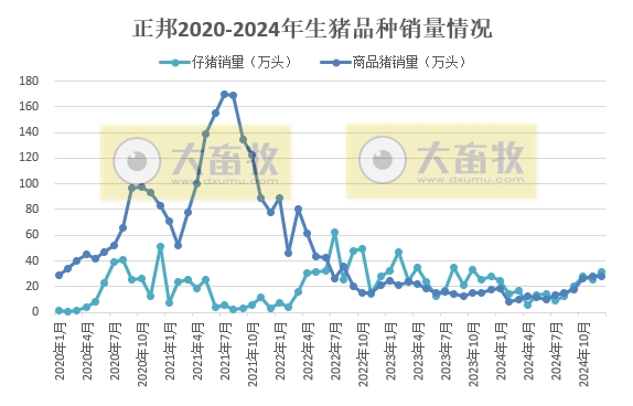 正邦科技2024年12月及年度生猪销售情况——年度销量为近7年最少，但四季度出现大幅增长