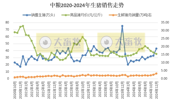 中粮家佳康2024年12月及年度生猪销售情况——年度出栏量减少30%