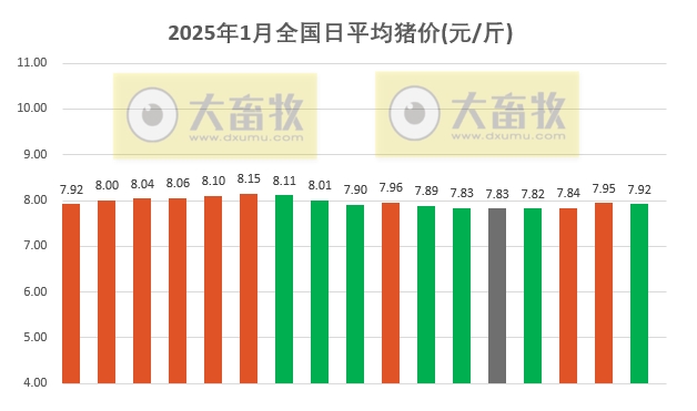 今日猪价 | 2025.01.17 猪价行情——突变，由涨转跌