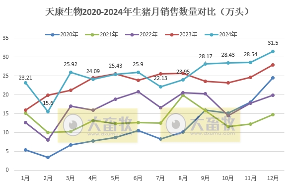 天康生物2024年12月及年度生猪销售情况——年度生猪销量和收入均创历史新高
