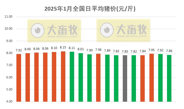 今日猪价 | 2025.01.18 猪价行情——大多数继续下跌