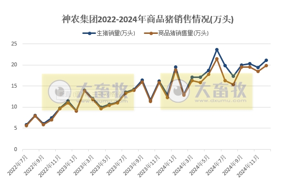 神农集团2024年12月及年度生猪生产销售情况——年度销量和收入均创历史新高