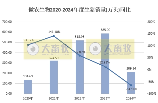 华统、京基和傲农2024年12月及年度生猪销售情况