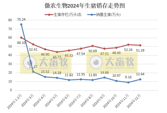 华统、京基和傲农2024年12月及年度生猪销售情况