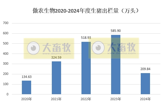 华统、京基和傲农2024年12月及年度生猪销售情况