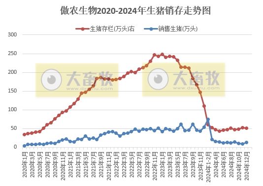 华统、京基和傲农2024年12月及年度生猪销售情况