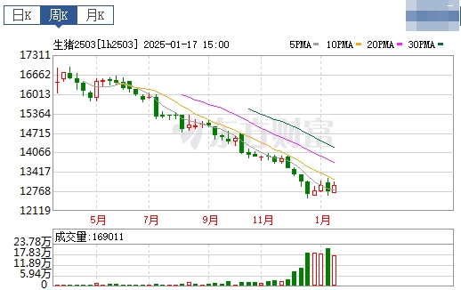 今日猪价 | 2025.01.19 猪价行情——震荡小幅下跌