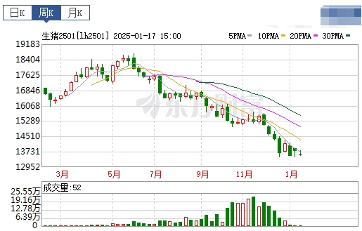今日猪价 | 2025.01.19 猪价行情——震荡小幅下跌
