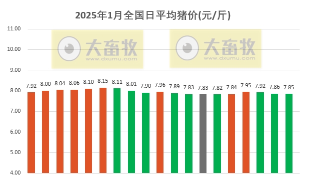 今日猪价 | 2025.01.19 猪价行情——震荡小幅下跌