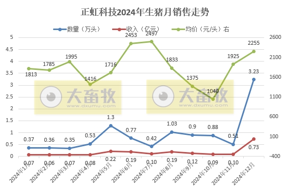 金新农、罗牛山和正虹2024年12月及年度生猪销售情况