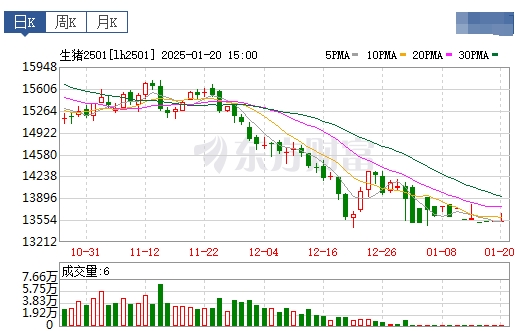 今日猪价 | 2025.01.21 猪价行情——连续5天下跌