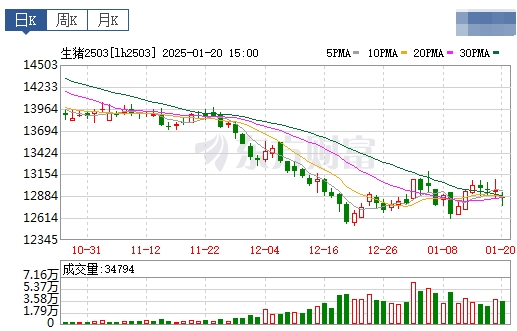 今日猪价 | 2025.01.21 猪价行情——连续5天下跌