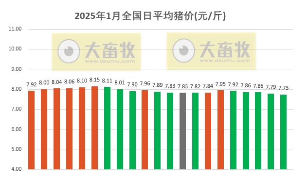今日猪价 | 2025.01.21 猪价行情——连续5天下跌