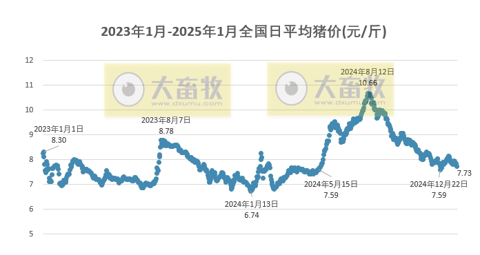 今日猪价 | 2025.01.21 猪价行情——连续5天下跌