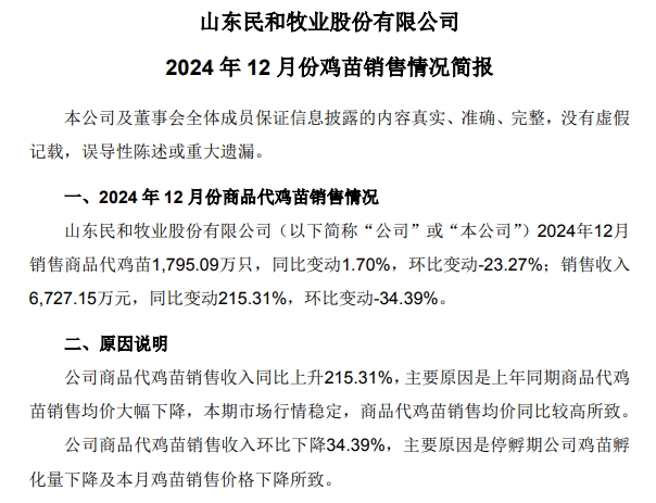 益生、民和和晓鸣2024年12月及年度鸡苗销售情况