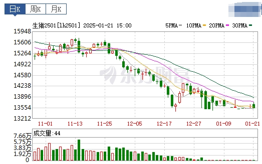 今日猪价 | 2025.01.22 猪价行情——连续6天下跌