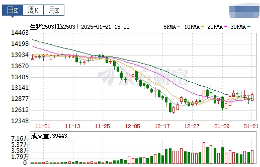 今日猪价 | 2025.01.22 猪价行情——连续6天下跌