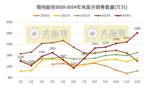 益生、民和和晓鸣2024年12月及年度鸡苗销售情况