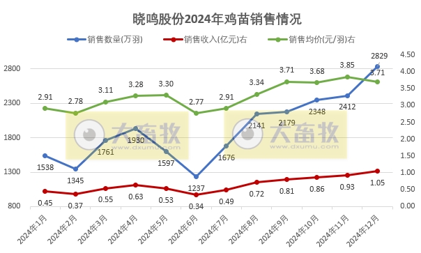 益生、民和和晓鸣2024年12月及年度鸡苗销售情况