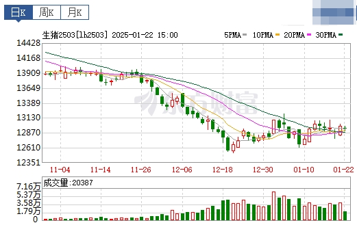 今日猪价 | 2025.01.23 猪价行情——连续7天下跌,且全面下跌