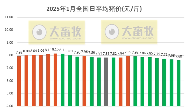 今日猪价 | 2025.01.23 猪价行情——连续7天下跌,且全面下跌
