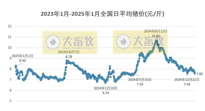 今日猪价 | 2025.01.23 猪价行情——连续7天下跌,且全面下跌