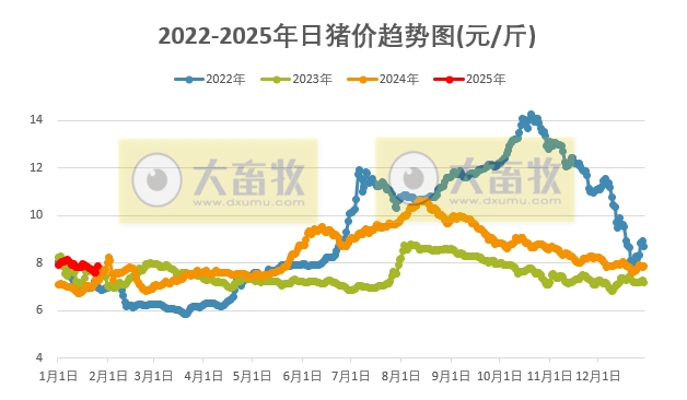 今日猪价 | 2025.01.25 猪价行情——一路飘红,且大幅度上涨
