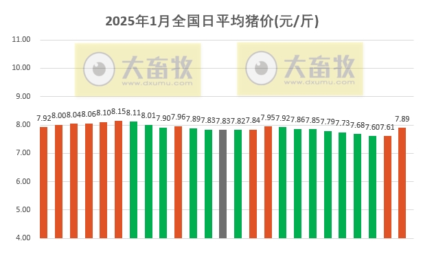 今日猪价 | 2025.01.25 猪价行情——一路飘红,且大幅度上涨